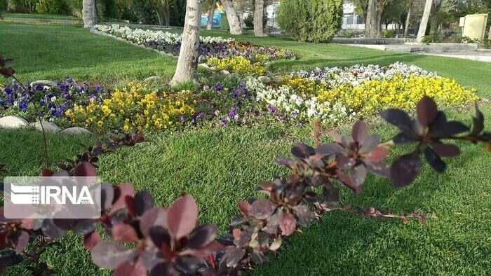 ملایر با ۲۲ مترمربع فضای سبز از کلانشهرها پیشی گرفت