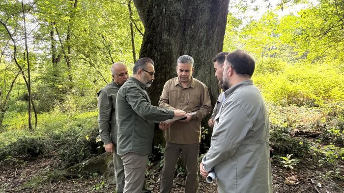 حکمرانی یکپارچه زیستبومی؛ نقشه راه سازمان حفاظت محیط زیست برای غرب مازندران