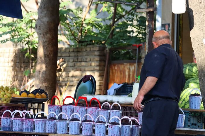 برداشت شاتوت در سولقان