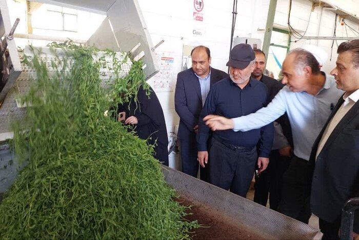خیز بلند خراسان جنوبی برای تولید برق پاک/ ۷۲ دستگاه اجرایی به پنلهای خورشیدی مجهز شدند