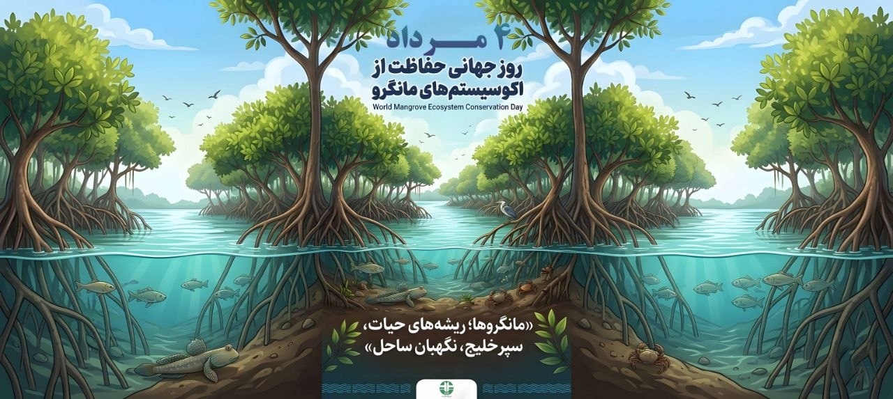 نگهبانان سبز مرز آب و خشکی/ مانگروها، جنگلهایی که نفس جنوب ایران را زنده نگه داشتهاند