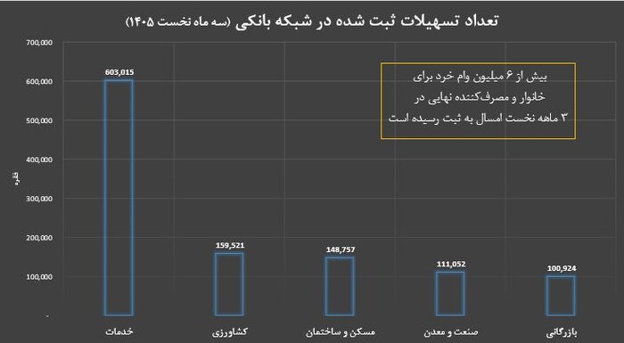 ۲ ماموریت شبکه بانکی در پرداخت تسهیلات؛ حمایت از خانوار و تامین مالی تولید