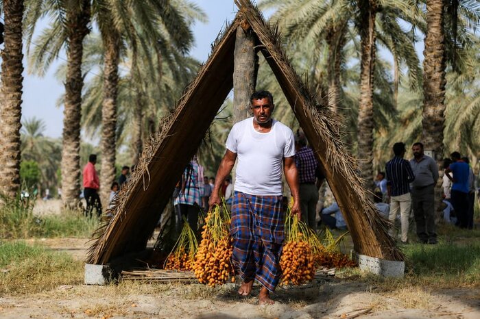 ثبت جشنواره هرمزگانی «مغ و مشتا» در تقویم گردشگری ملی