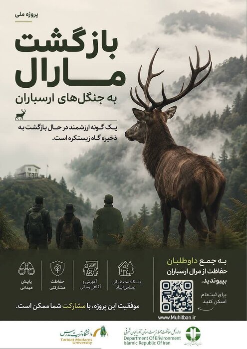 بازگشت باشکوه مارال به جنگل های ارسباران پس از ۳۰ سال
