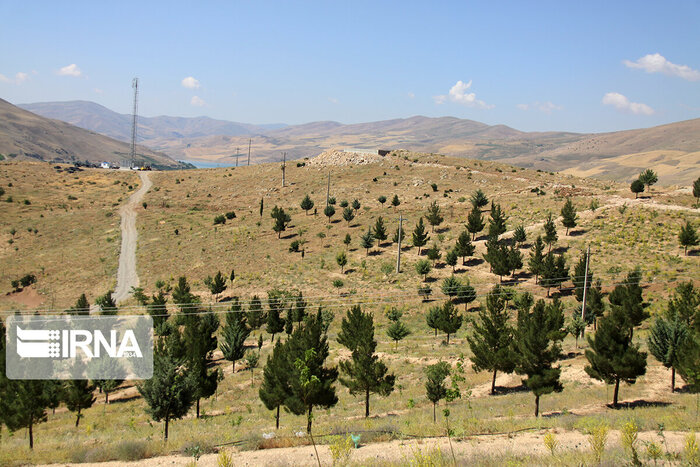 تصویر خبر