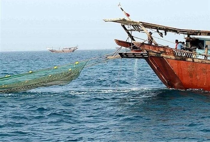 ۱۰۰۰ تن میگو در آبهای بوشهر صید شد - ایرنا