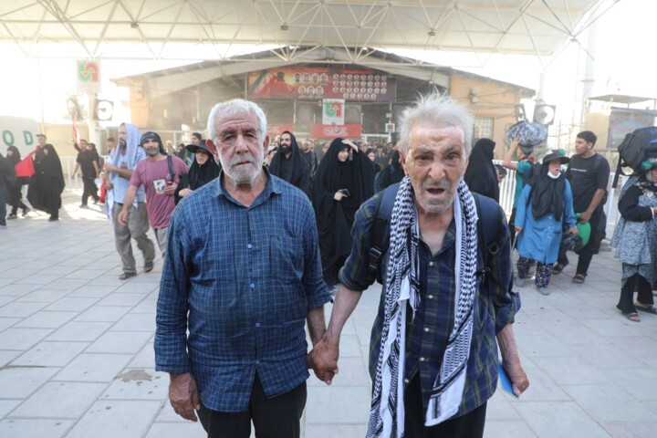 جنون شیرین