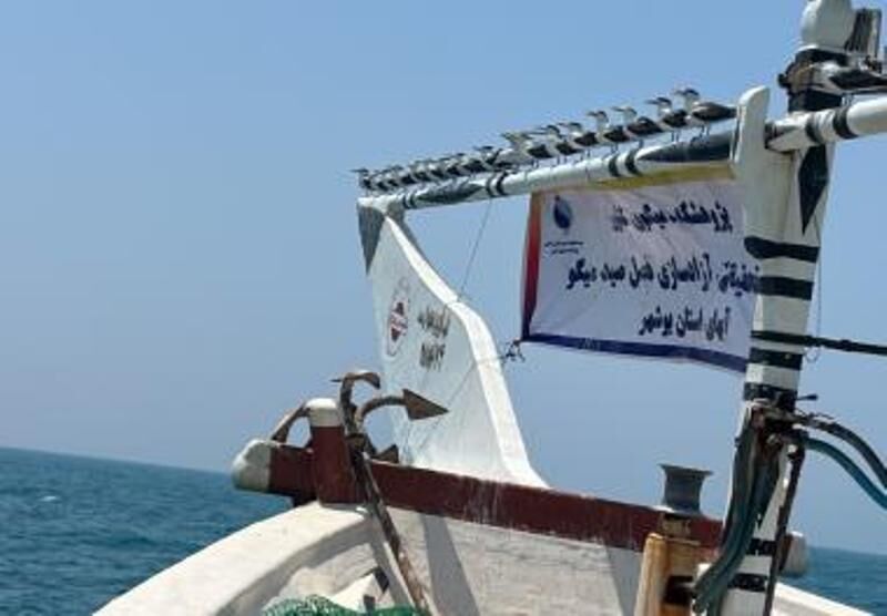 آخرین وضعیت ذخایر میگوی دریایی بوشهر در سال ۱۴۰۵ اعلام شد آخرین وضعیت ذخایر میگوی دریایی بوشهر در سال ۱۴۰۵ اعلام شد