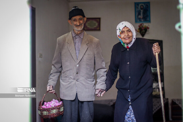 گرد پیری بر رخسار مازندران