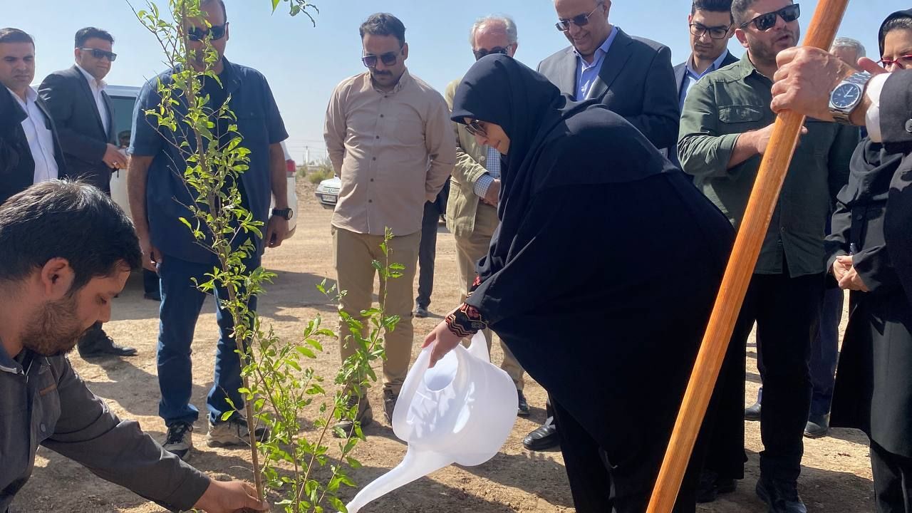 کاشت نهال گلدانی توسط رئیس سازمان حفاظت محیط زیست در پارک جنگلی زاهدان