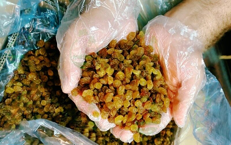 صادرات ۲۰ هزار تن کشمش از بناب