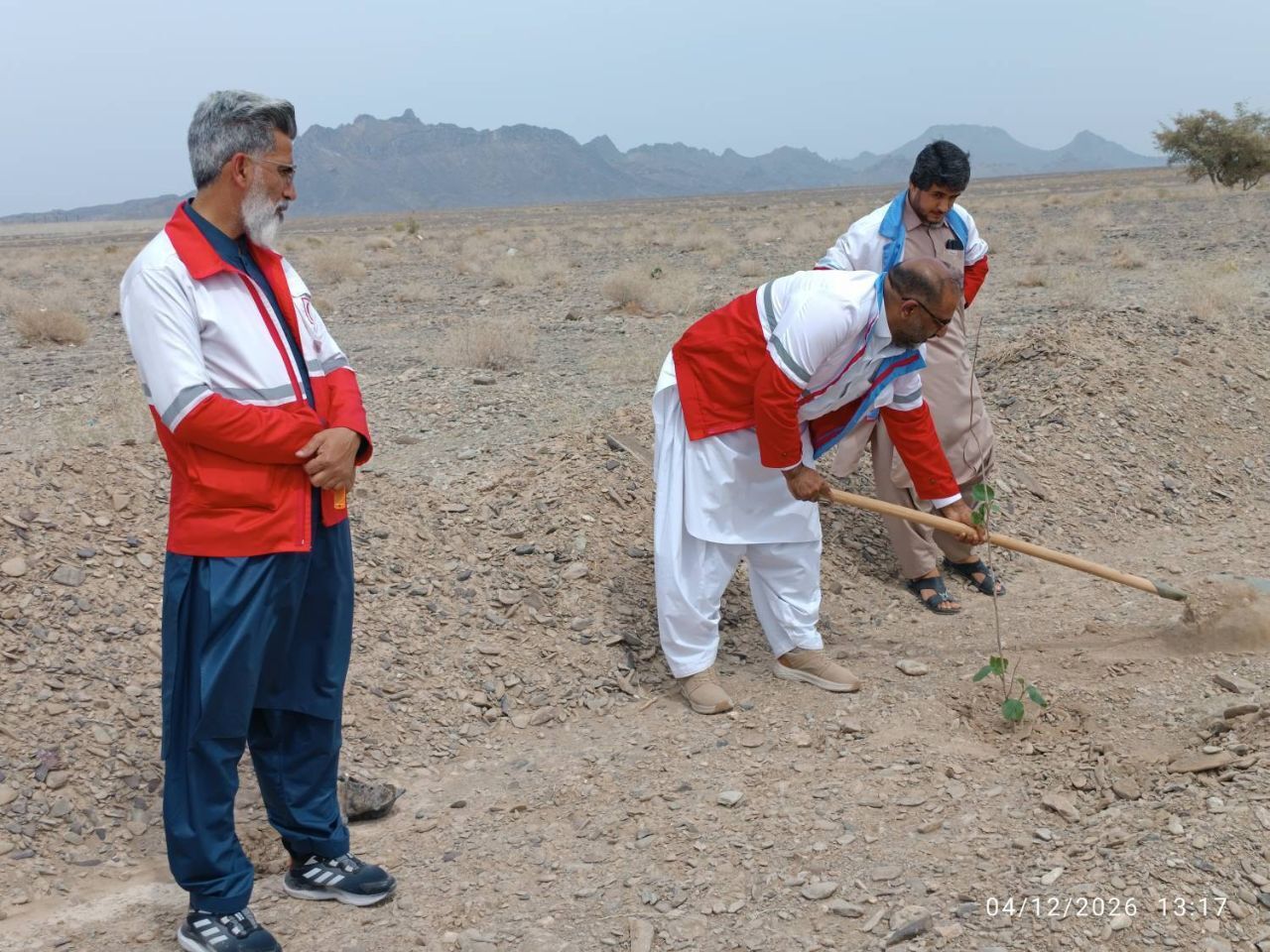 بیش از ۳۶۴ هزار نهال و بذر توسط جوانان هلالاحمر سیستان و بلوچستان کاشته شد