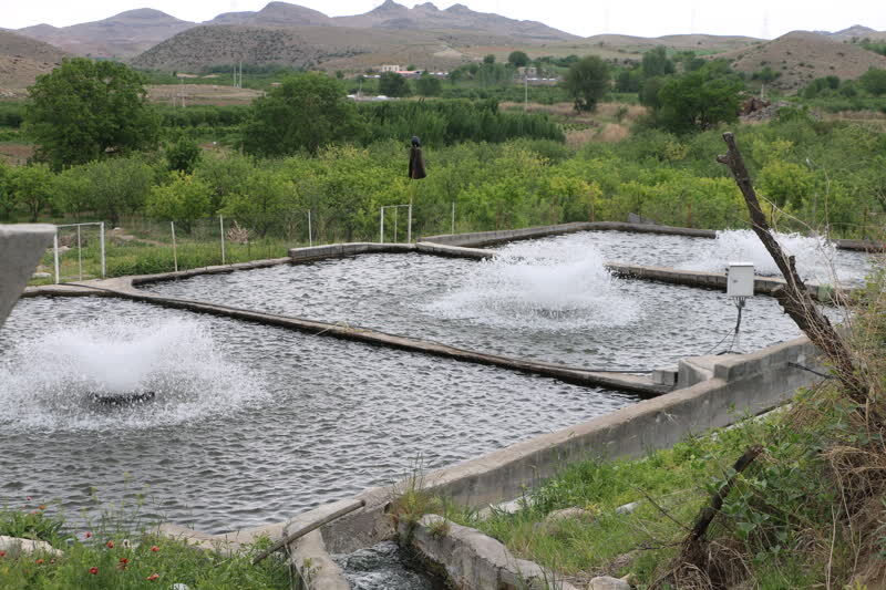۲۷ پروژه شیلات در اردبیل برای افتتاح یا کلنگ‌زنی آماده شد