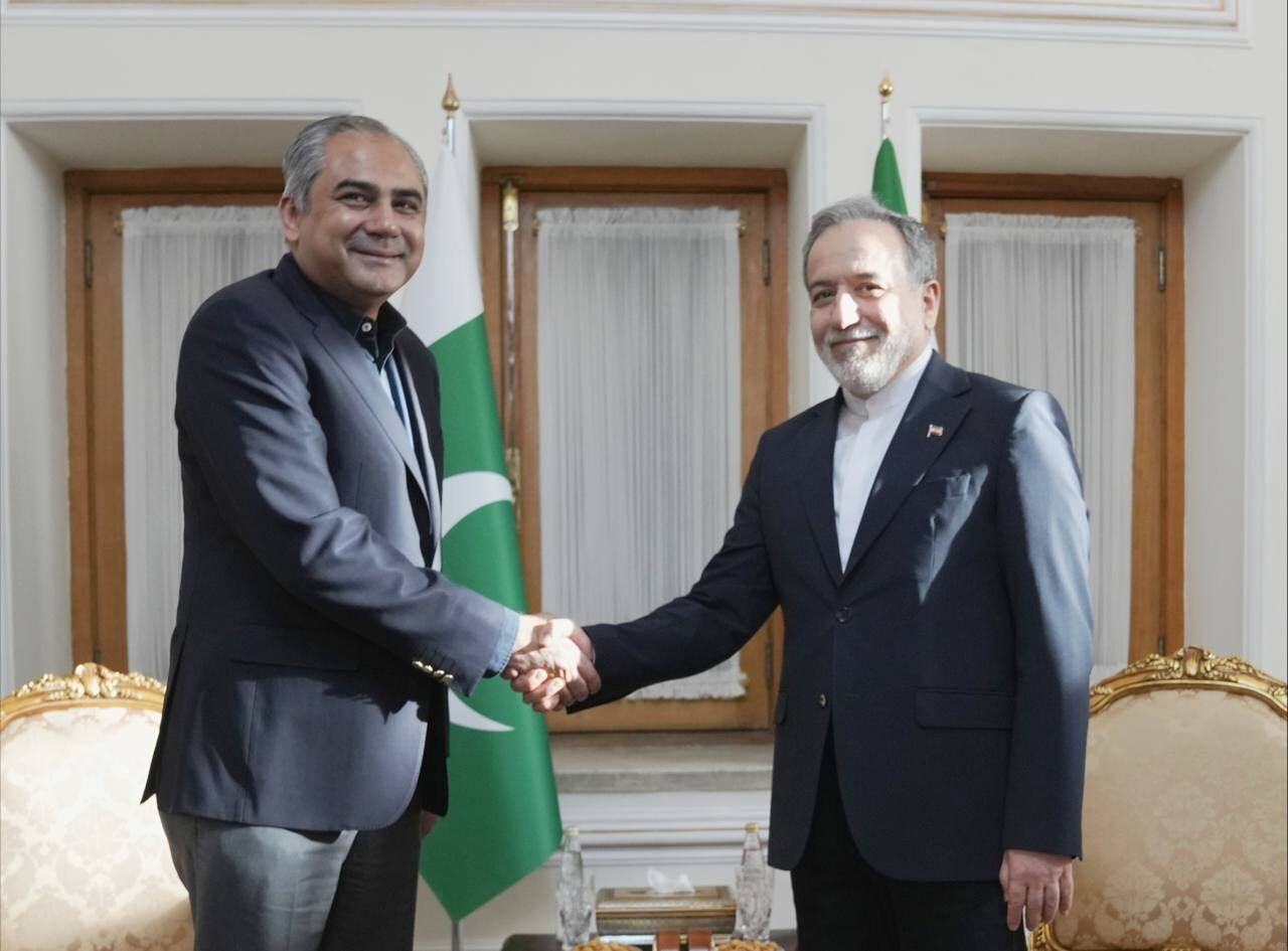 Pakistan interior minister meets Foreign Minister Araghchi in Tehran