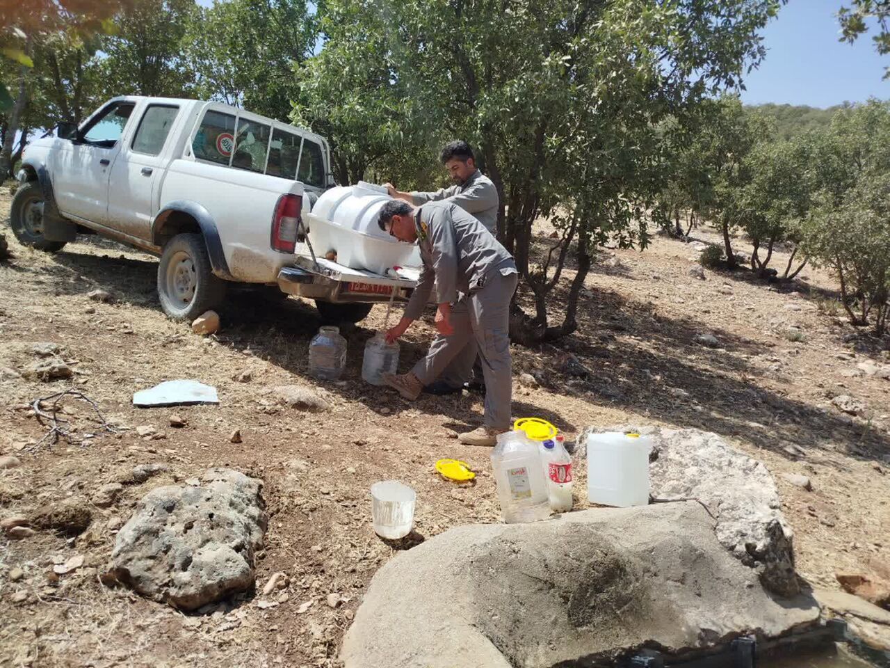 آبشخورهای حیات وحش دالاهو آبگیری و ضدعفونی شد