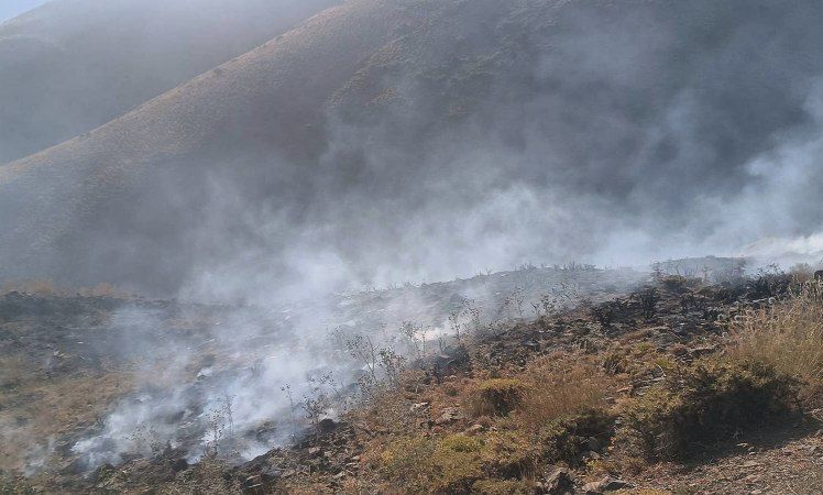 آتش‌سوزی شلم‌ کوه ایلام مهار شد