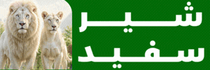 بنر باغ پرندگان