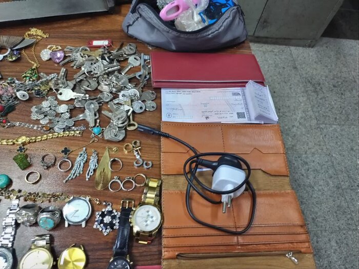 ۲ سارق منزل در قم دستگیر شدند