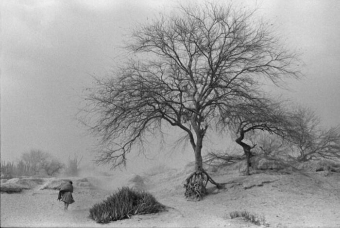 ۲۸ مرداد و قصه روز جهانی عکاسی