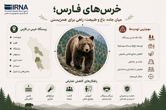 خرسهای فارس؛ وقتی جاده و باغ، زیستگاه را تکهتکه میکند
