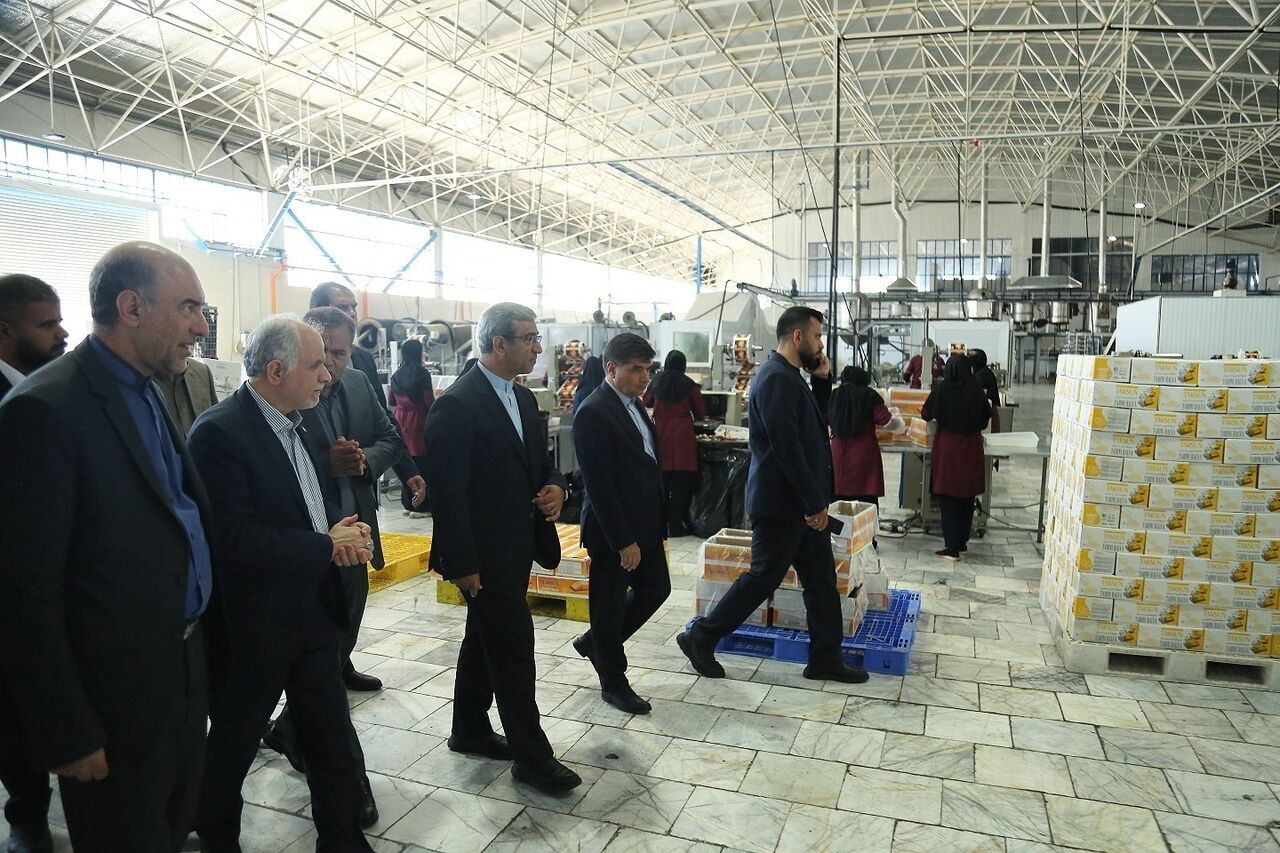 وزیر دادگستری: تشکیل قرارگاه‌های نظارتی برای تخلفات بازار ضروری است