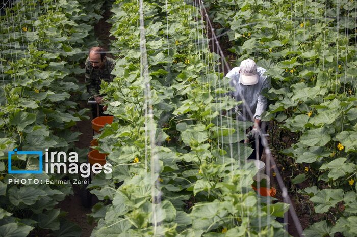 مسیر هموار توسعه ملایر در دولت میدان‌دار عمل
