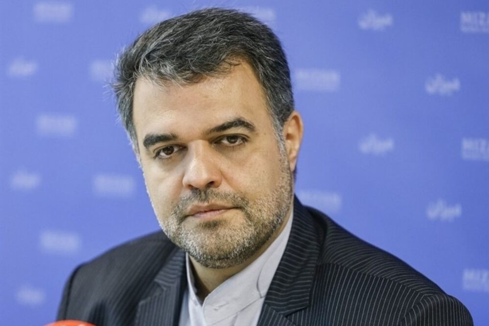 سخنگوی قوه قضاییه: هماهنگی قوا برای عبور از چالشها ضروری است