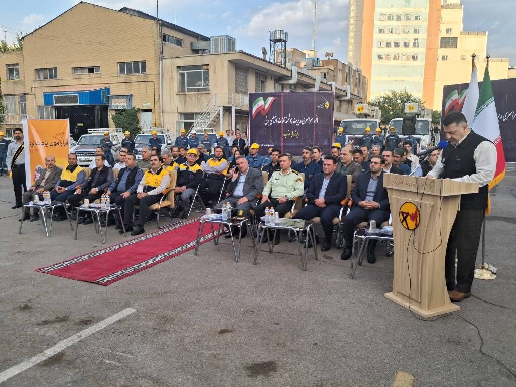 مدیرعامل توانیر: ۲۳۳ هزار انشعاب غیرمجاز برق در کشور جمع آوری شد