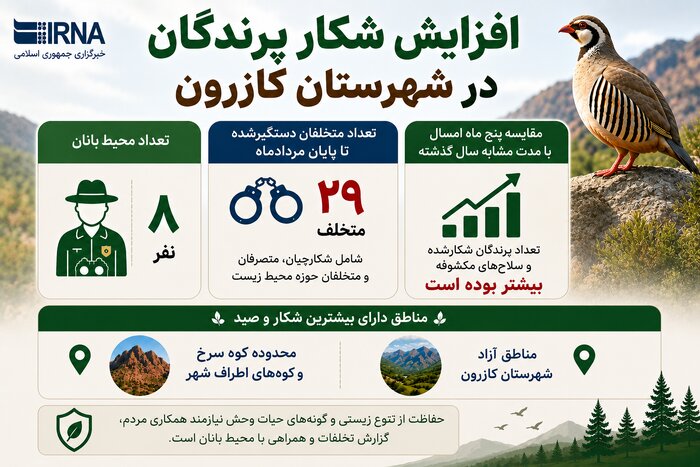 زنگ خطر شکار در کوه دوان کازرون؛ کبکها در تیررس شکارچیان