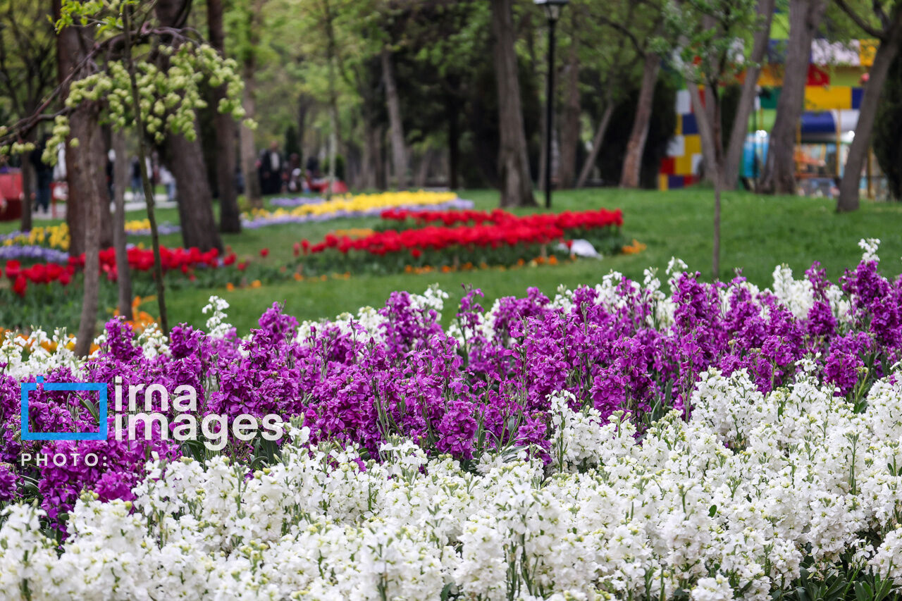 ۲۴۰۰ میلیارد ریال برای توسعه و نگهداری فضای سبز بجنورد اختصاص یافت