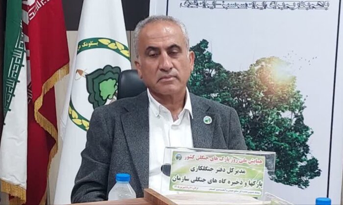 معاون امور جنگل سازمان: مدیریت پارکهای جنگلی، حفاظت و احیای جنگلها هدف اصلی است