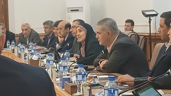 صادق: اولویت دولت، گرهگشایی از مسکن دهکهای یک تا پنج است
