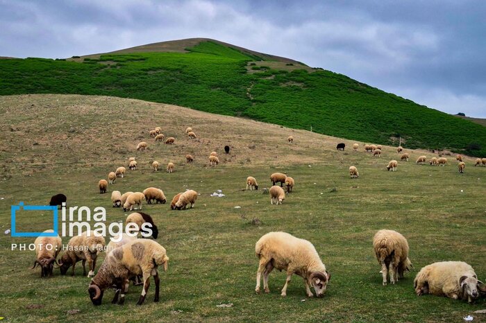 فعالیت های دریایی در خزر ممنوع شد