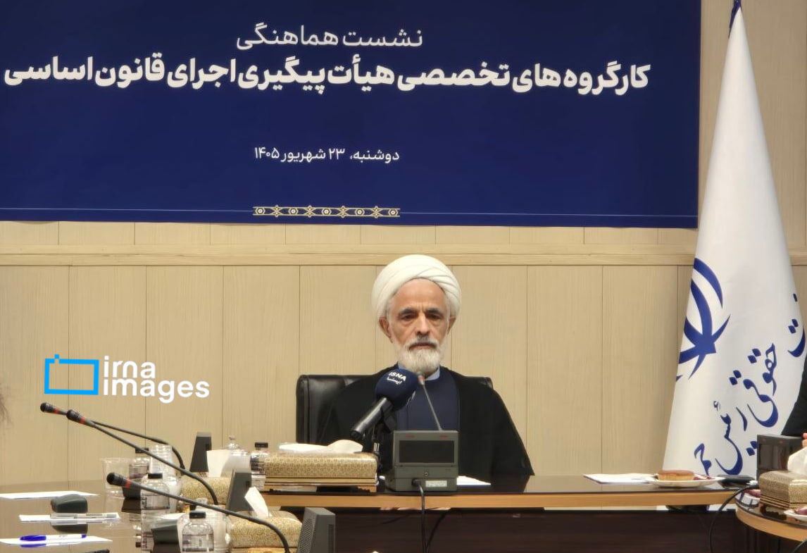 هشدار معاون حقوقی رئیسجمهور درباره حاشیهای شدن اجرای قانون اساسی