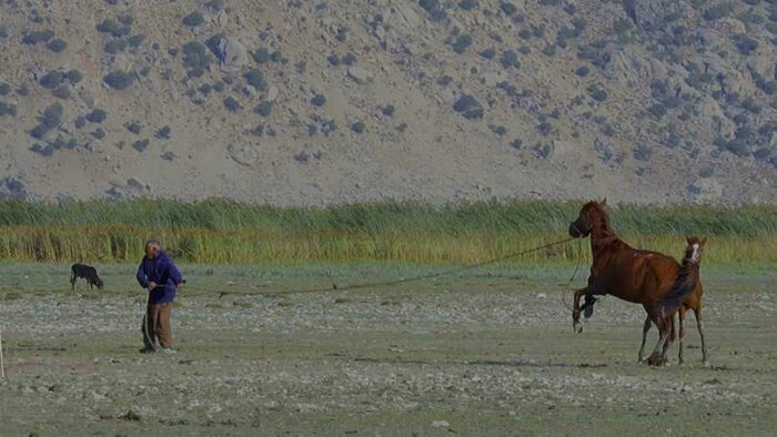 وقتی بقای طبیعت دغدغه همگان میشود؛ تالابهای فارس در نگاه کنجکاو هنرمندان
