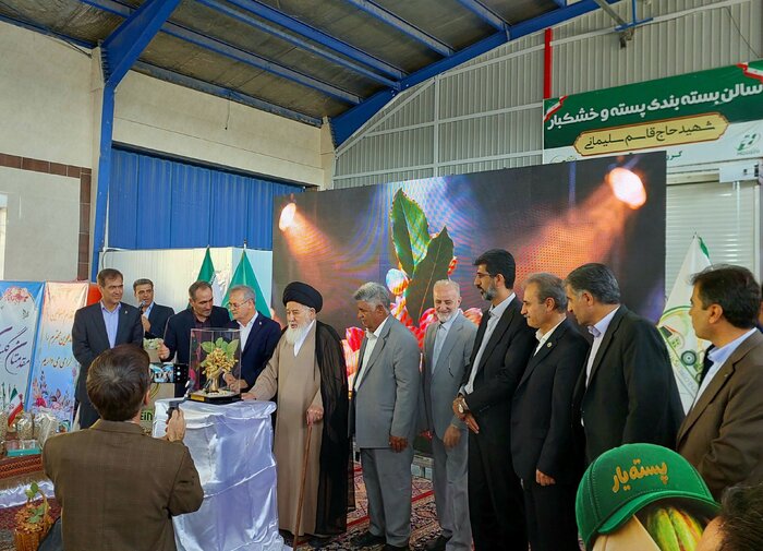 معاون وزیر جهاد کشاورزی: پسته از مهمترین محصولات صادراتی کشور است پسته از مهمترین محصولات صادراتی ایران است