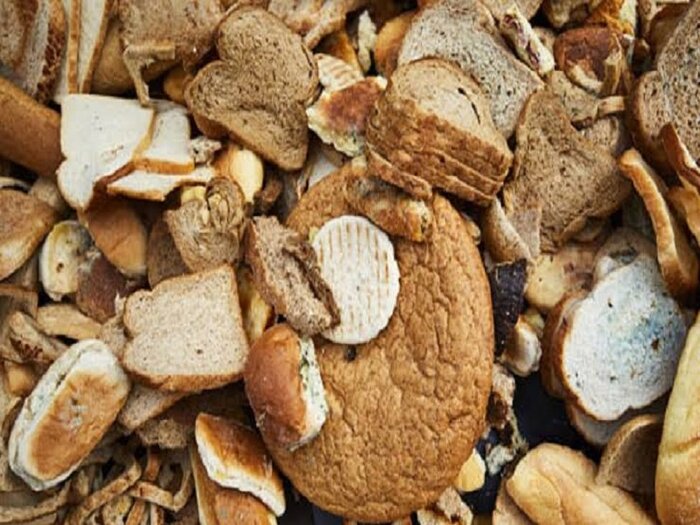 زنجیره نان در پیچوخم چالشها؛ از گندم نامناسب و یارانه آرد تا ضایعات ۳۰ درصدی