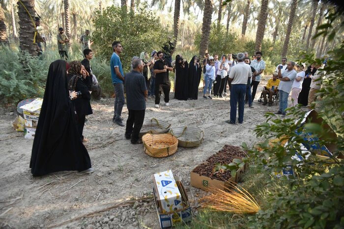 دومین رویداد ملی &laquo;مخ&zwnj;برون&raquo; برداشت خرمای بوشهر به کار خود پایان داد