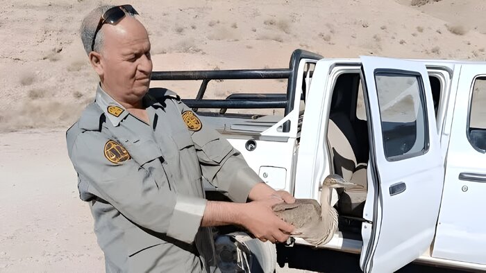 اخبار کوتاه از غرب اصفهان