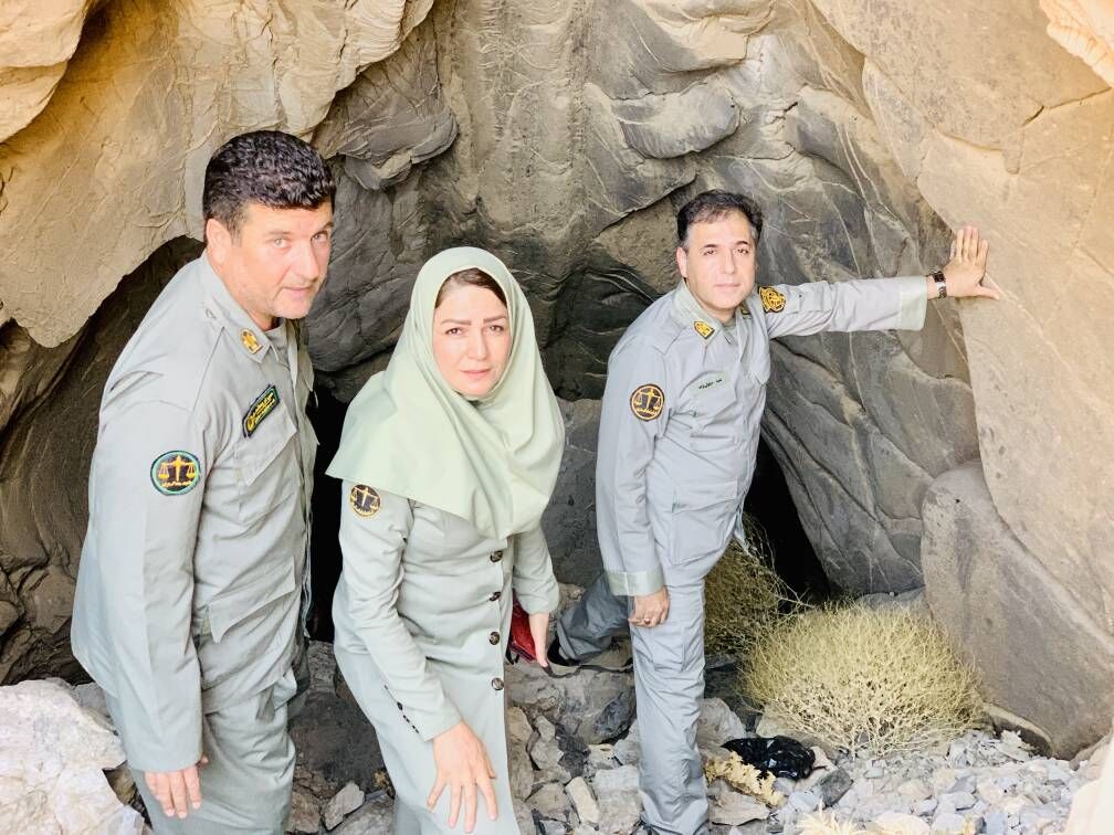 مدیرکل محیطزیست کرمانشاه از کشف غاری تازه در دل کوههای باینگان خبر داد
