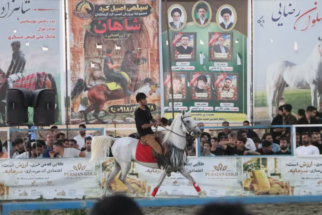 استاندار کرمانشاه: احیای اسب اصیل کُرد در دستور است