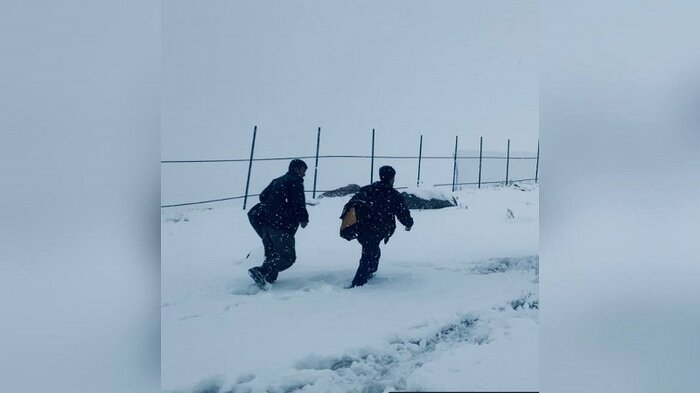«مرد آرام» مهدی هاشمی بهترین فیلم جشنواره آمریکایی شد/ اکران آنلاین «آنتیک»