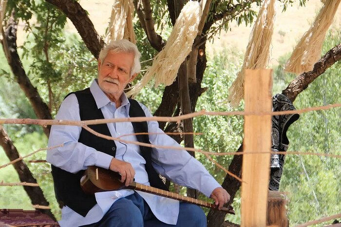 «مرد آرام» مهدی هاشمی بهترین فیلم جشنواره آمریکایی شد/ اکران آنلاین «آنتیک»