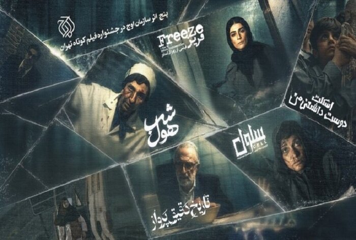 «مرد آرام» مهدی هاشمی بهترین فیلم جشنواره آمریکایی شد/ اکران آنلاین «آنتیک»