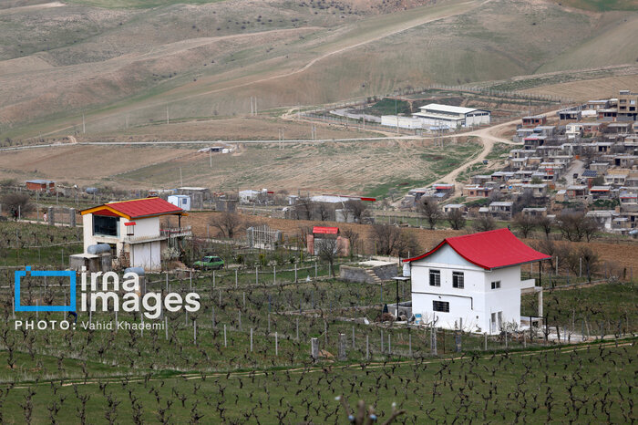 تصویر خبر