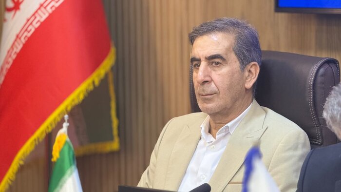 صدور مجوز واردات خودرو به منطقه آزاد بوشهر به رونق کسب&zwnj;وکارها کمک می&zwnj;کند