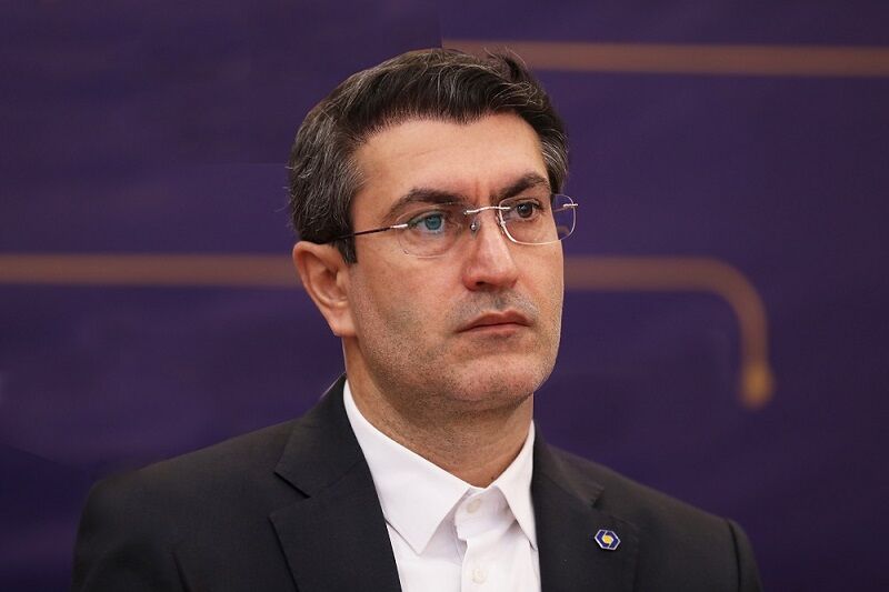 مدیرعامل بانک سینا: صیانت از حقوق مشتریان، رویکرد محوری بانک سینا است