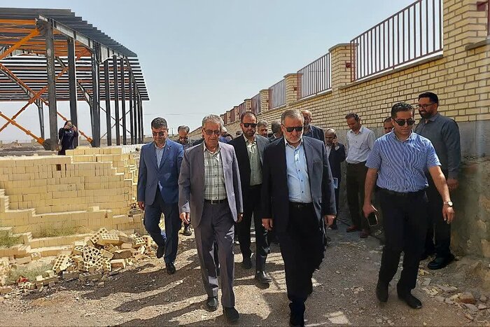 زنجیره ارزش زرشک خراسان جنوبی با توسعه فرآوری تکمیل شود