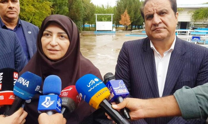 جنگل بلوط ایلام تابآوری دوباره میخواهد
