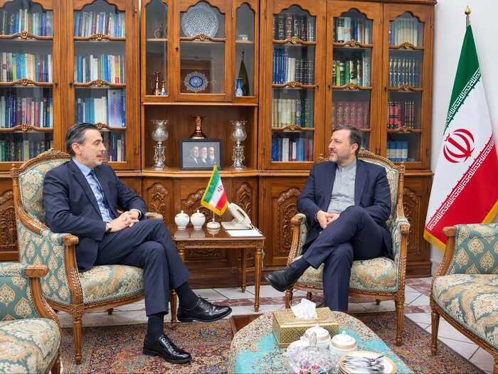 Deputy FM stresses developing bilateral ties with India, Japan, Spain ...